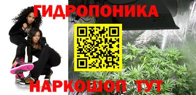 шишки Пыть-Ях