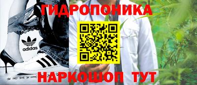 шишки Пыть-Ях