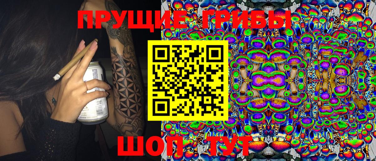 Псилоцибиновые грибы Psilocybe Сегежа